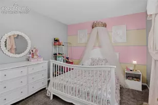 2116 Creekridge Point, Colorado Springs, CO 80910 - Photo 24