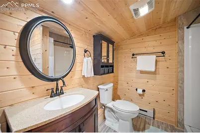 213 Willow Road, Divide, CO 80814 - Photo 24