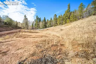 213 Willow Rd, Divide, CO 80814 - Photo 40