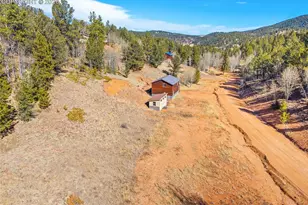 213 Willow Rd, Divide, CO 80814 - Photo 44