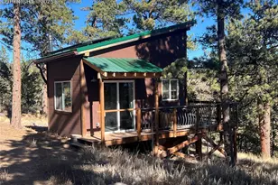 254 E Cobb Ln, Guffey, CO 80820 - Photo 28
