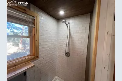 254 E Cobb Lane, Guffey, CO 80820 - Photo 22