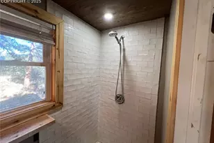 254 E Cobb Ln, Guffey, CO 80820 - Photo 22