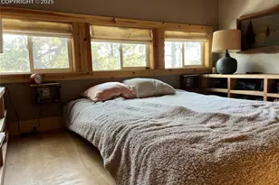 254 E Cobb Ln, Guffey, CO 80820 - Photo 16