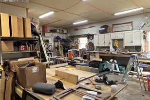 254 E Cobb Ln, Guffey, CO 80820 - Photo 36