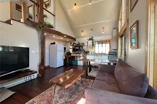 254 E Cobb Ln, Guffey, CO 80820 - Photo 8