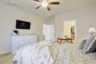 11572 Farnese Heights, Peyton, CO 80831 - Photo 20