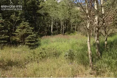 208 Coffee Road, Manitou Springs, CO 80829 - Photo 1