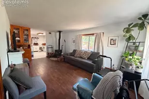 521 Ute Ave, Simla, CO 80835 - Photo 8