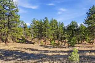 556 Circle Dr, Florissant, CO 80816 - Photo 44
