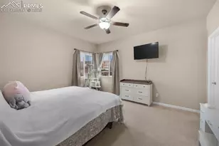 11558 Farnese Heights, Peyton, CO 80831 - Photo 10