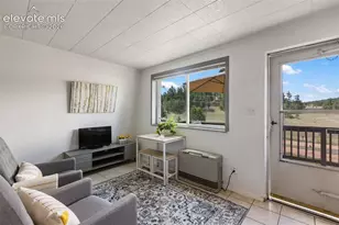 301 Circle Dr, Florissant, CO 80816 - Photo 4