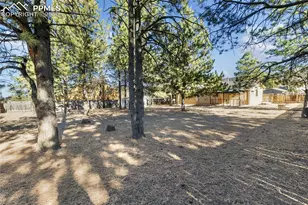 1260 Sundance St, Woodland Park, CO 80863 - Photo 4