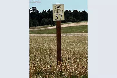 16990 Early Light Drive, Colorado Springs, CO 80908 - Photo 2