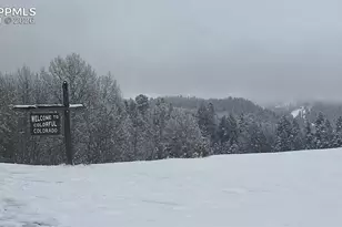 8442 Noreen Falls Dr, Colorado Springs, CO 80924 - Photo 26