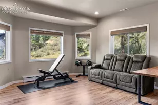 2441 Glen Cove Dr, Woodland Park, CO 80863 - Photo 14