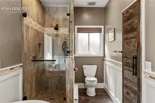 2441 Glen Cove Dr, Woodland Park, CO 80863 - Photo 20