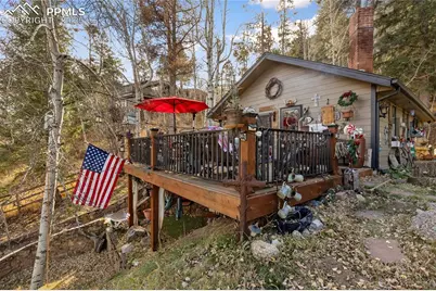 10155 Mountain Road, Cascade, CO 80809 - Photo 36