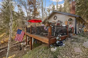10155 Mountain Rd, Cascade, CO 80809 - Photo 36