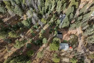 10155 Mountain Rd, Cascade, CO 80809 - Photo 40