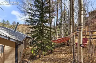 10155 Mountain Rd, Cascade, CO 80809 - Photo 8