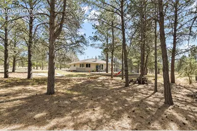 11165 Pine Meadows Road, Colorado Springs, CO 80908 - Photo 40