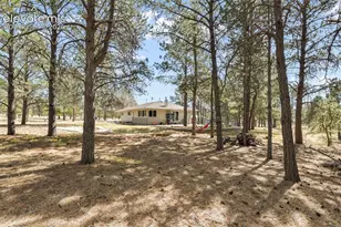 11165 Pine Meadows Rd, Colorado Springs, CO 80908 - Photo 40
