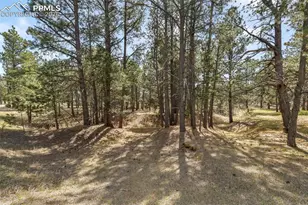 11165 Pine Meadows Rd, Colorado Springs, CO 80908 - Photo 40