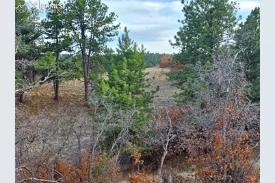 204 Pine Road, Florissant, CO 80816 - Photo 20