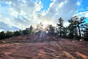 204 Pine Rd, Florissant, CO 80816 - Photo 1