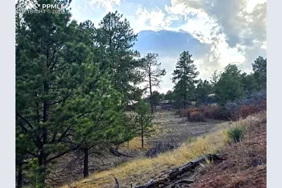 204 Pine Road, Florissant, CO 80816 - Photo 16