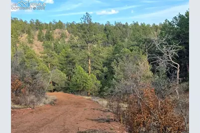204 Pine Road, Florissant, CO 80816 - Photo 18