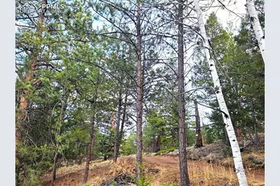 204 Pine Road, Florissant, CO 80816 - Photo 18