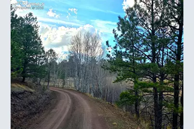 204 Pine Road, Florissant, CO 80816 - Photo 26