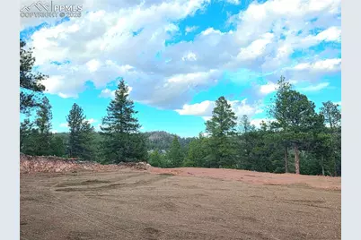 204 Pine Road, Florissant, CO 80816 - Photo 16