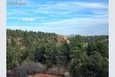 204 Pine Road, Florissant, CO 80816 - Photo 22