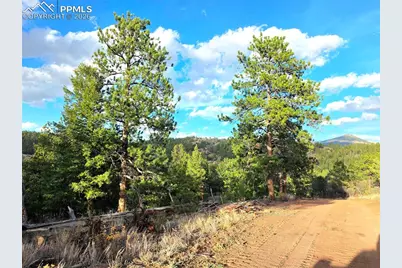 204 Pine Road, Florissant, CO 80816 - Photo 24