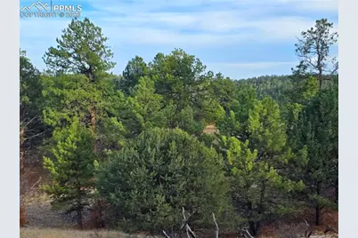 204 Pine Road, Florissant, CO 80816 - Photo 20