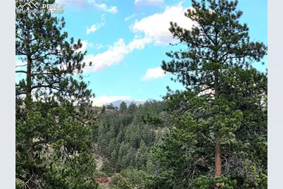 204 Pine Road, Florissant, CO 80816 - Photo 28