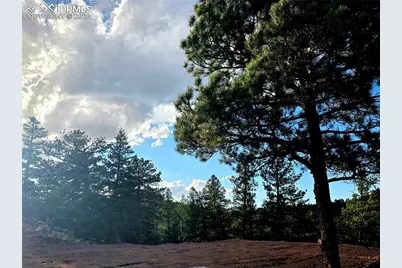 204 Pine Road, Florissant, CO 80816 - Photo 12