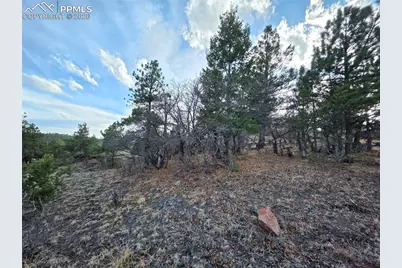 204 Pine Road, Florissant, CO 80816 - Photo 24