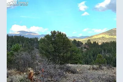 204 Pine Road, Florissant, CO 80816 - Photo 12