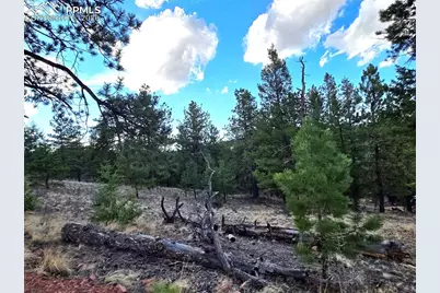 204 Pine Road, Florissant, CO 80816 - Photo 6