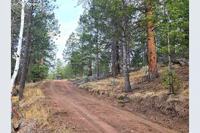 204 Pine Road, Florissant, CO 80816 - Photo 10