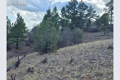 204 Pine Road, Florissant, CO 80816 - Photo 22