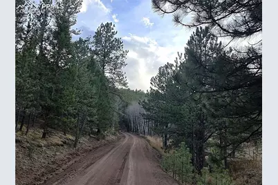 204 Pine Road, Florissant, CO 80816 - Photo 26
