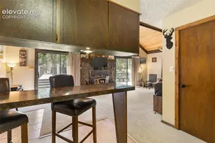 10311 El Paso Ave, Green Mountain Falls, CO 80819 - Photo 22