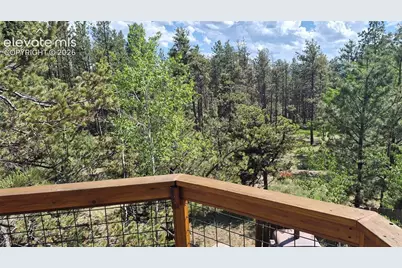 276 Oxford Place, Florissant, CO 80816 - Photo 2