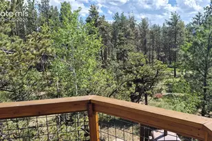 276 Oxford Pl, Florissant, CO 80816 - Photo 2