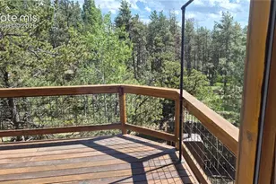 276 Oxford Pl, Florissant, CO 80816 - Photo 4